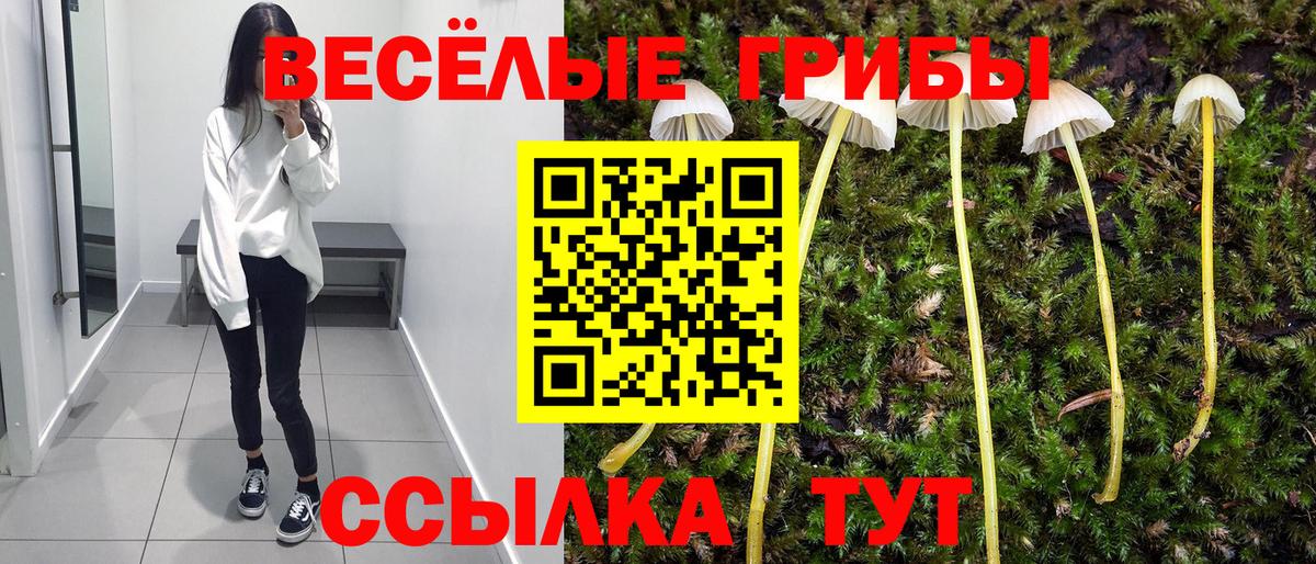 Галлюциногенные грибы Psilocybe  Псилоцибиновые грибы Cubensis  Вход с VPN  Изобильный 